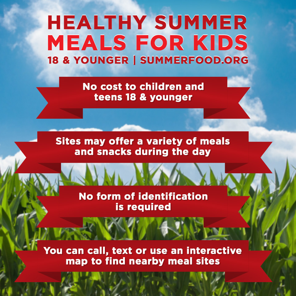 summer feeding