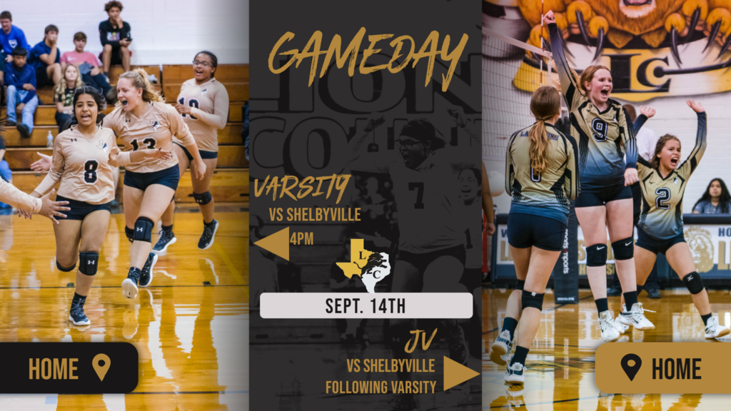 shelbyville game